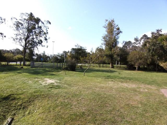 Sítio 2,9hec, no asfalto Lami POA/Itapuã, junto à rotatória, ótimo ponto comercial - Foto 7