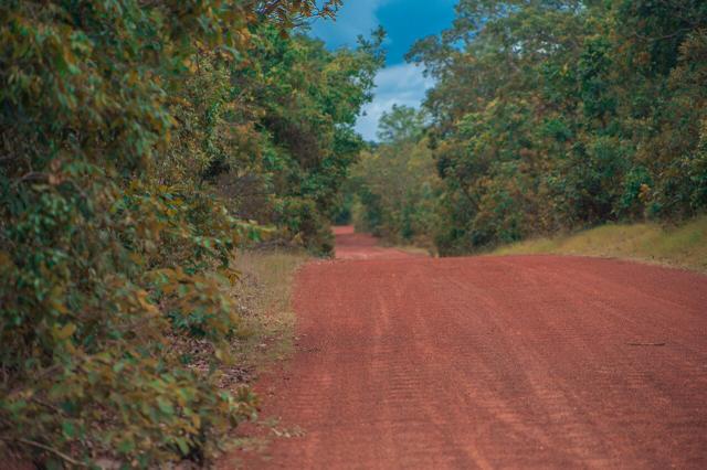 Fazenda para agricultura e pecuária - Foto 10