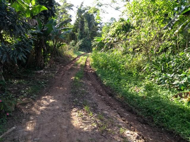 Área com 30 hectares com 600 metros de rio - Foto 4
