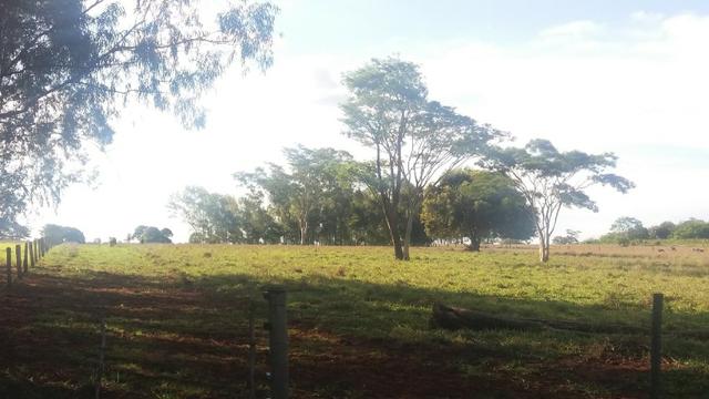 Chácara 3 Alqueires a 60 metros da cidade - Foto 10