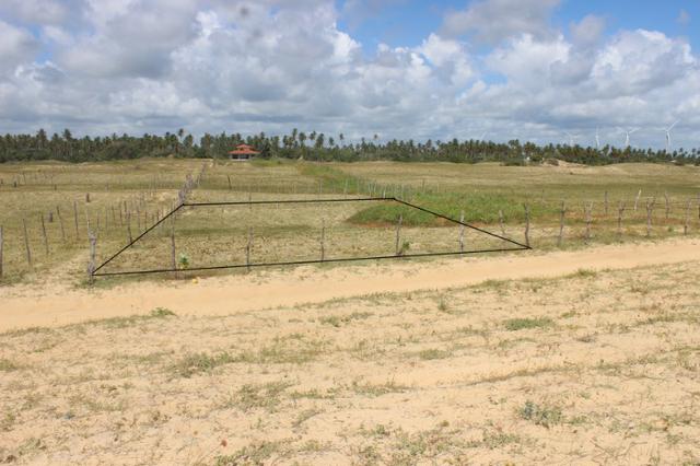 Excelente terreno beira mar na praia de Monte Alegre - TE0019 - Foto 2