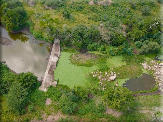 Belíssima Fazenda com casa boa e piscina na região rural de Riachão do Jacuípe Bahia - Foto 6