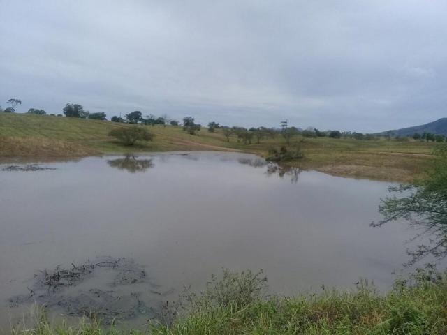 Belíssima Fazenda com casa boa e piscina na região rural de Riachão do Jacuípe Bahia - Foto 3