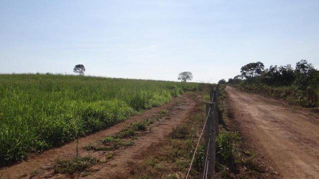Fazenda em chapada com 970 hectares sendo 300 plantando - Foto 7