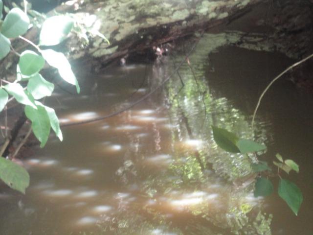 Sítio Chapada dos Guimarães 22 hectares - Foto 6