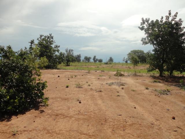 Sítio Chapada dos Guimarães 22 hectares - Foto 11