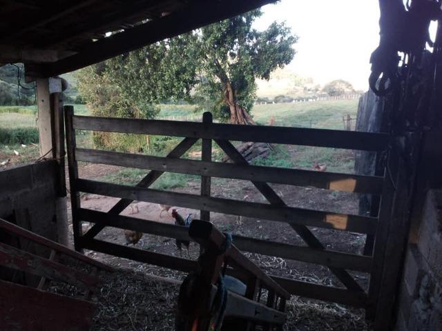Sitio - Foto 18