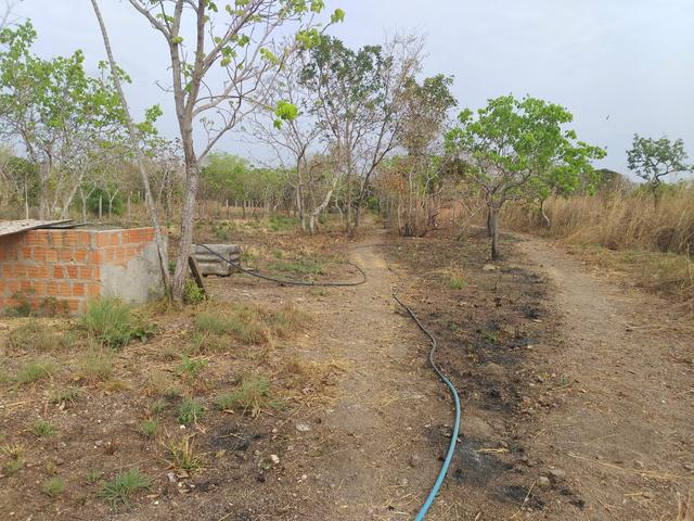 Chacara - Foto 2