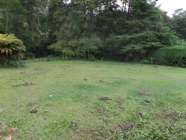 064 - Área de Terras nas Montanhas - Teresópolis - R.J - Foto 11