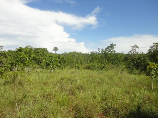 Sítio Chapada dos Guimarães 22 hectares - Foto 15