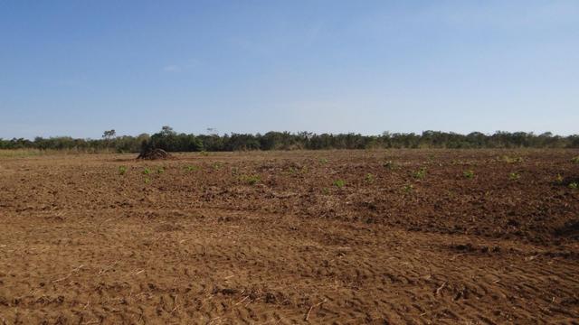 Fazenda em chapada com 970 hectares sendo 300 plantando - Foto 10