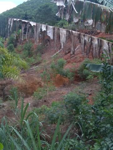 Vendo lindas chácaras a 23 km de Fundão sendo 16 km de chão - Foto 14