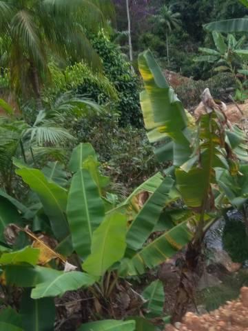 Vendo lindas chácaras a 23 km de Fundão sendo 16 km de chão - Foto 13