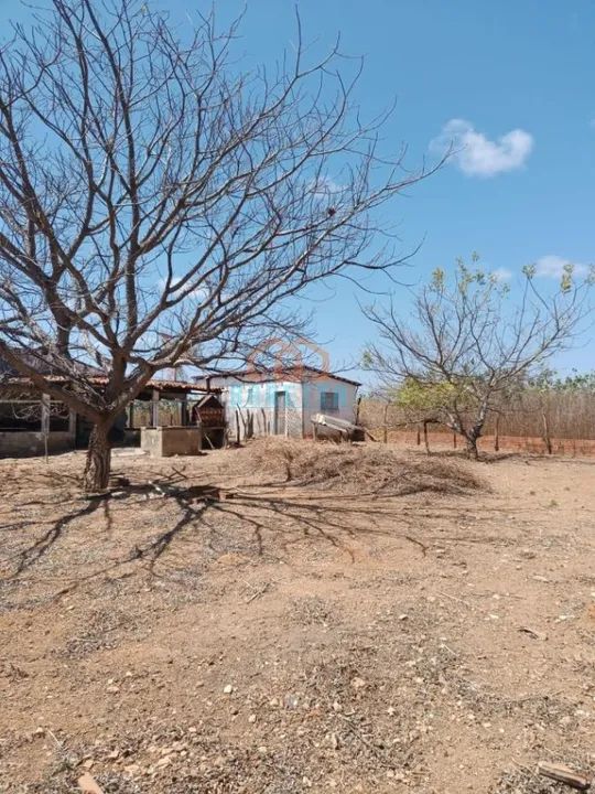 CÓD: 2559.  Propriedade Rural na RN 117 para Venda!   - Foto 3