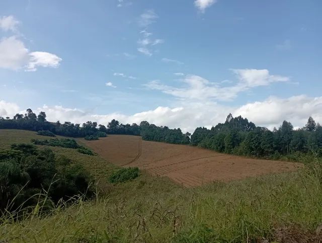 Sítio / chácara 7,5 alqueires  - Foto 3