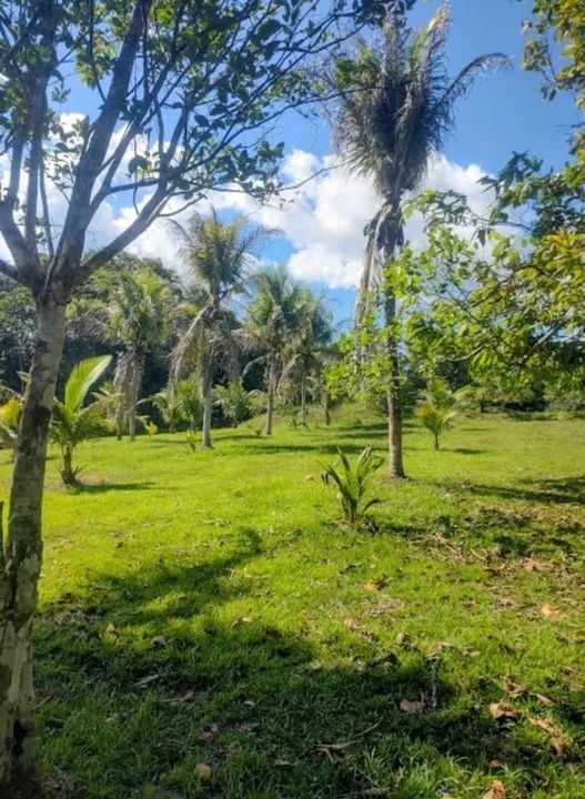foto - Manaus - Monte das Oliveiras