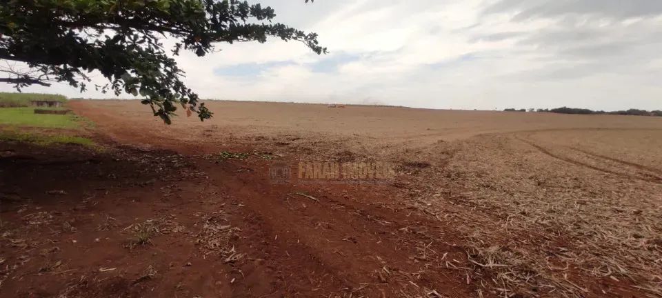 Fazenda 154 Alqueires - Foto 2