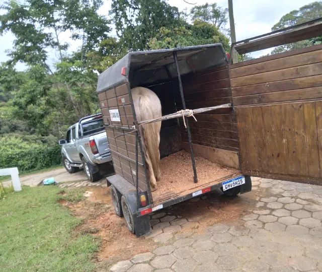 Faço frete para transportes de cavalos