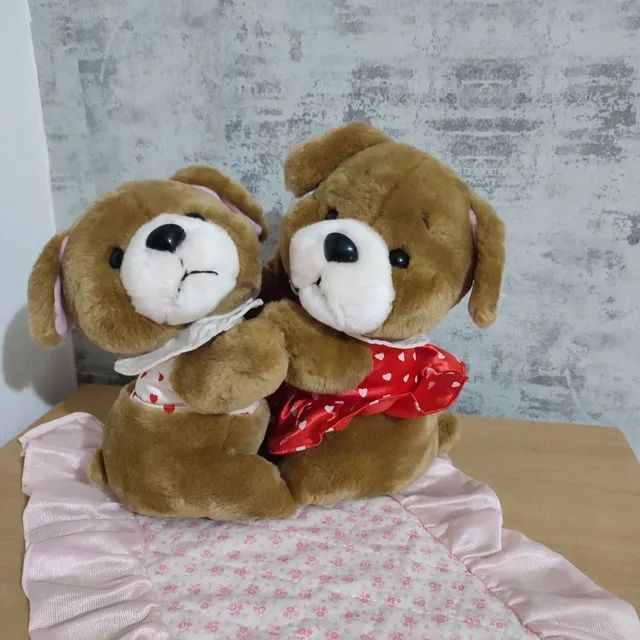 Casal de cachorros 