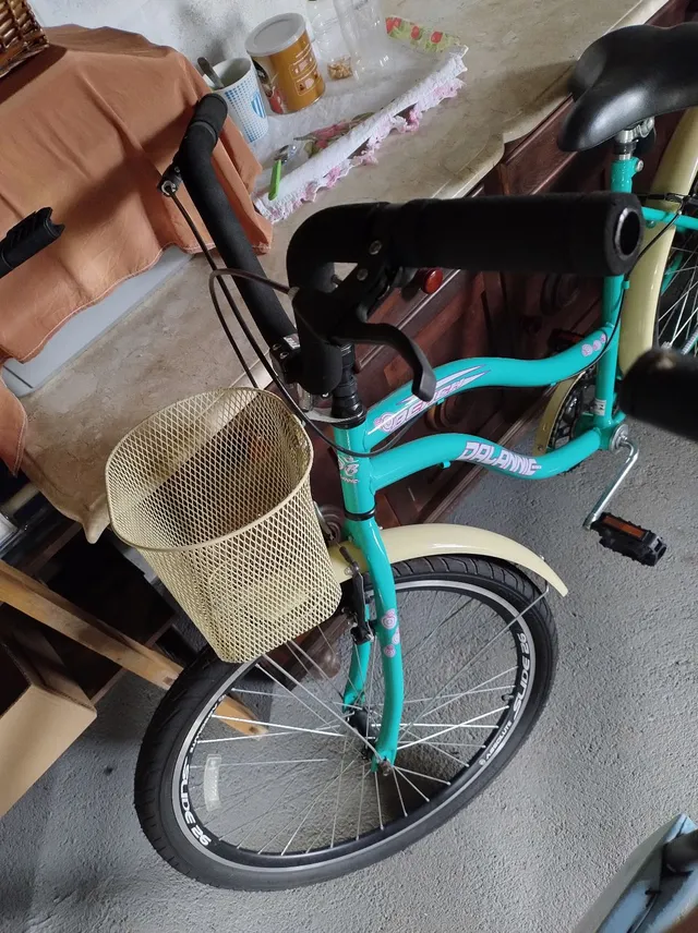 Bicicleta vintage feminina 23 an ncios na OLX Brasil