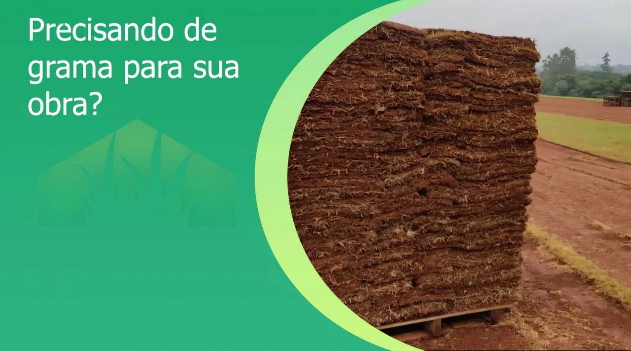 Grama para seu jardim - pronta para plantar