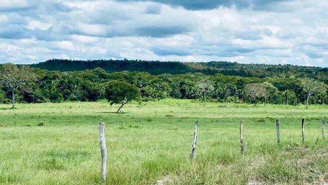 Fazenda em Rio Sono. Formada. - Foto 2
