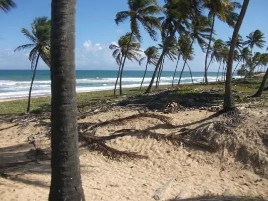 Pacotes de Finais de Semana em barra do jacuipe cond.fechado em frente a praia segu 24h  - Foto 17