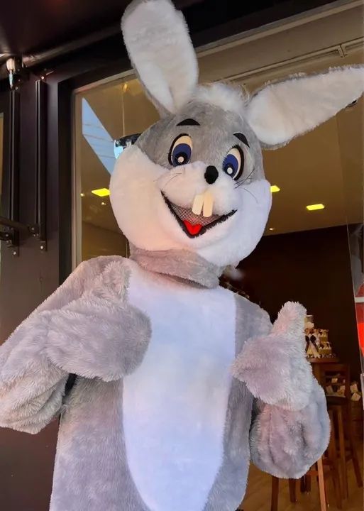 Fantasia de coelho 