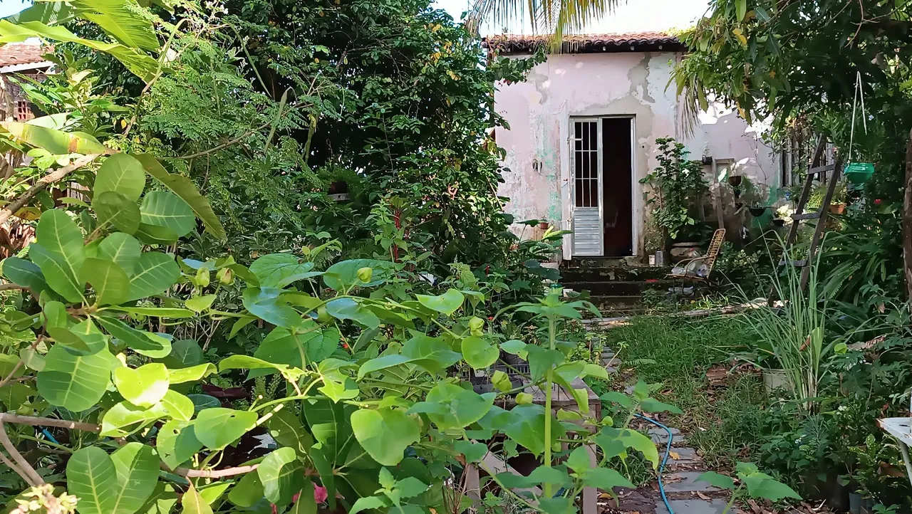 Mine CHÁCARA a cinco minutos de Aracaju