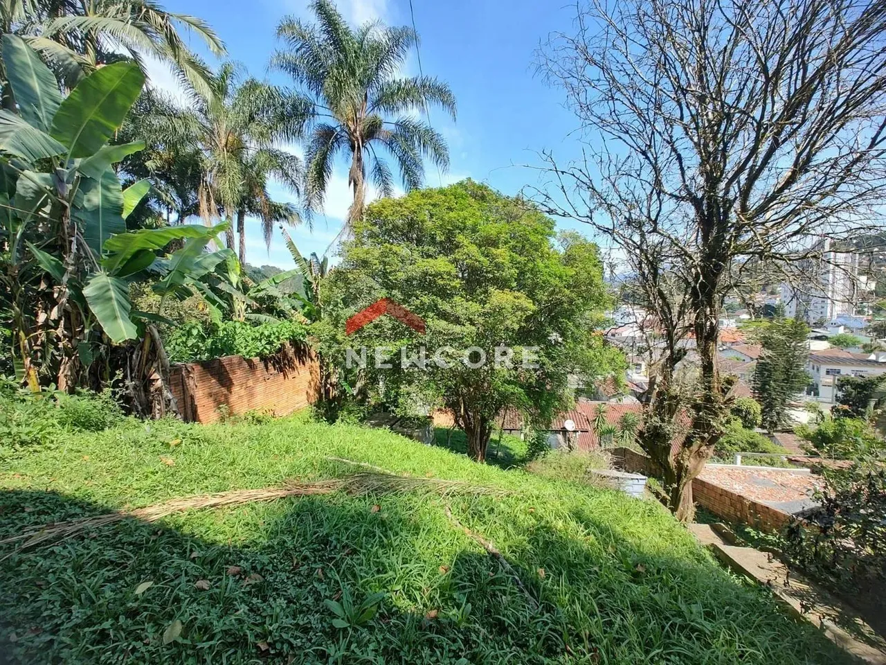 Lote em Rua Olinda - Garcia - Blumenau/SC