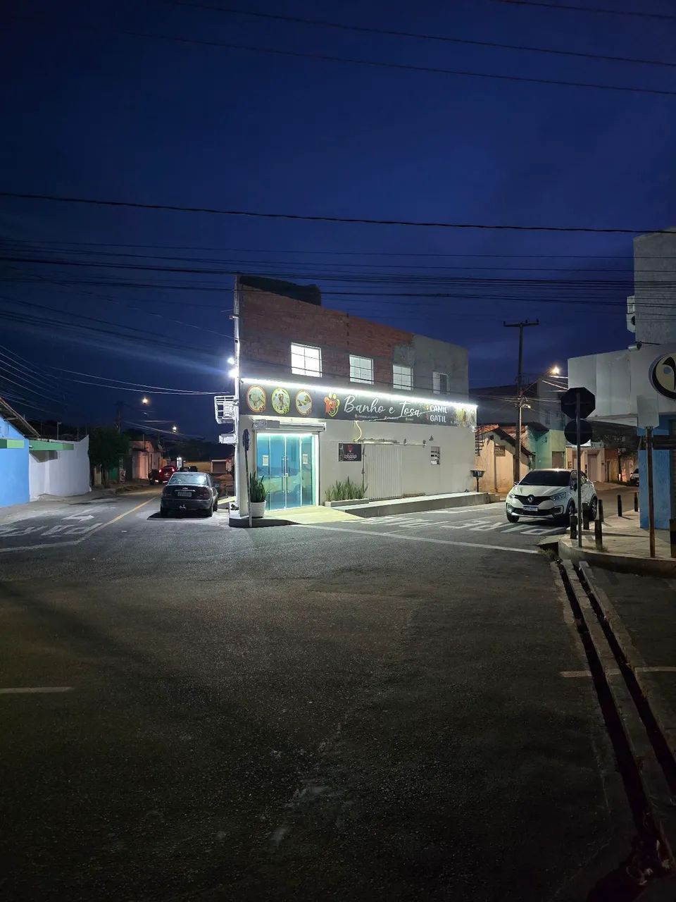 CURSO DE BANHO E TOSA PRESENCIAL VAGAS DISPONÍVEIS EM TERESINA PIAUÍ COM DIREITO A CERTIFI - Foto 4