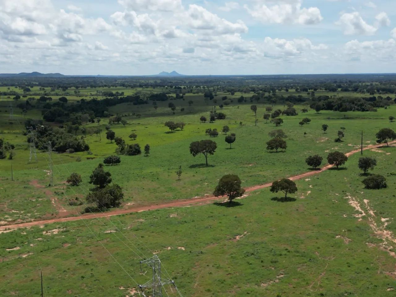 Fazenda para pecuária  - Foto 5