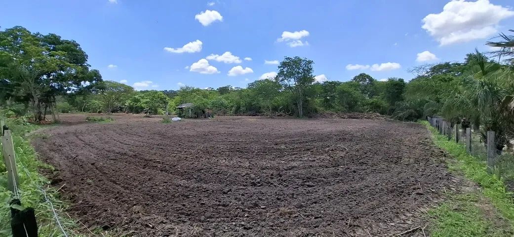 Chácara 2 hectares no Morro de Sto Antonio  - Foto 5