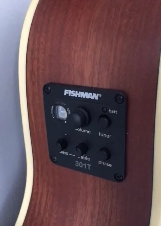 Violão Washburn com captação Fishman 301T