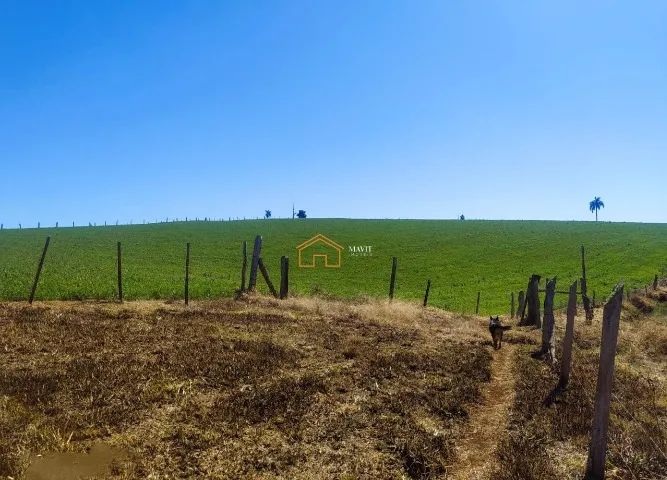  OPORTUNIDADE! Sítio com Casa Boa, Estufas, Tanques e Cachoeira - Aceita Permuta em Jlle - Foto 6