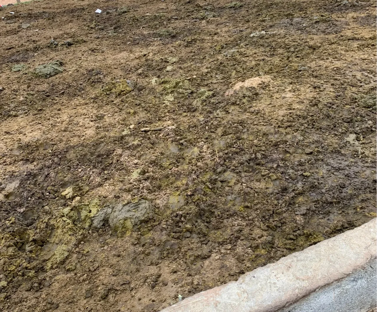 Estrume orgânico de alta qualidade
