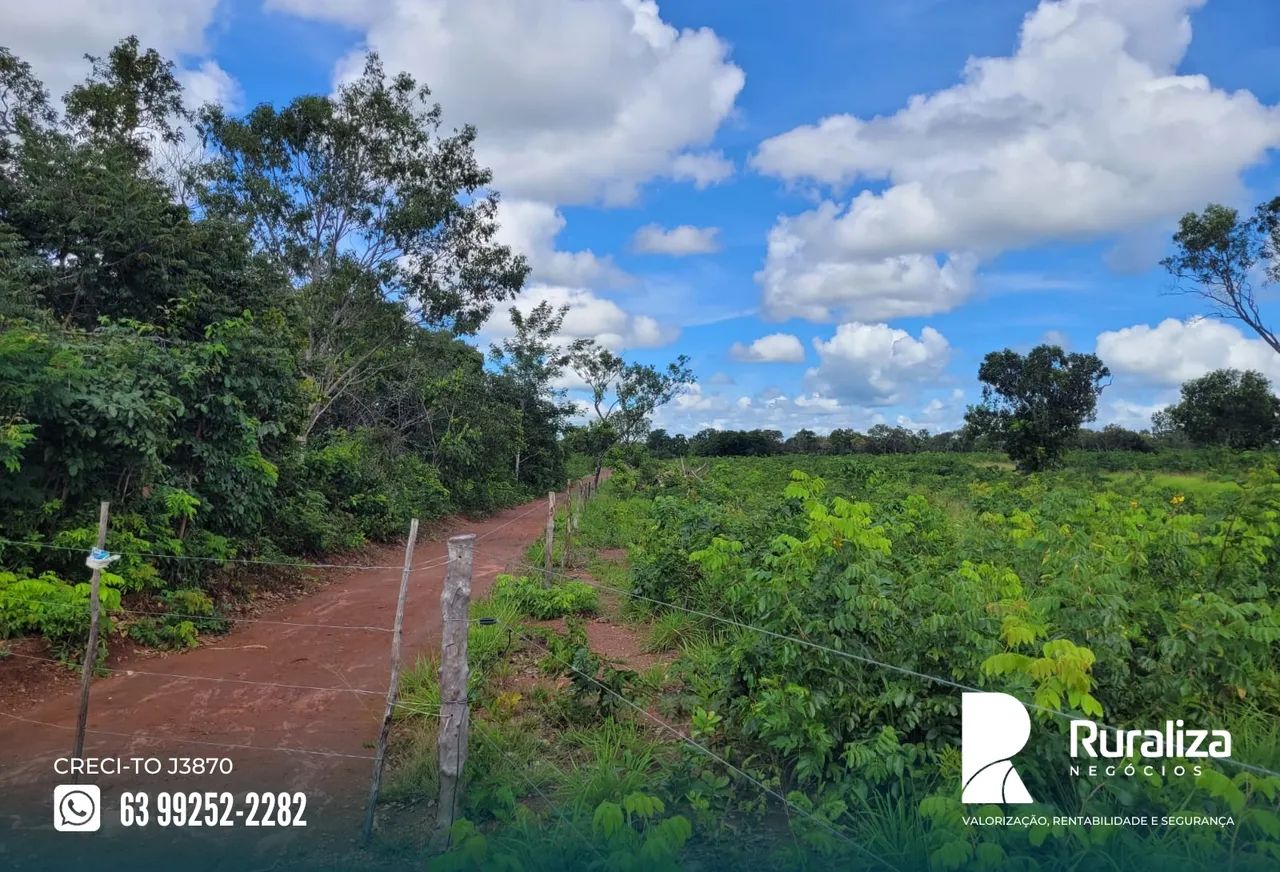 Aparecida do Rio Negro - TO com 60% de aproveitamento para lavoura, à 8 km do asfalto - Foto 4