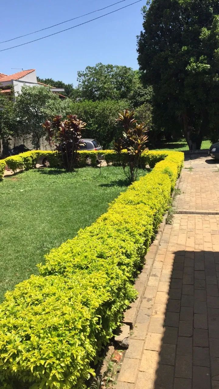 Jardinagem/jardineiro em geral - Foto 3
