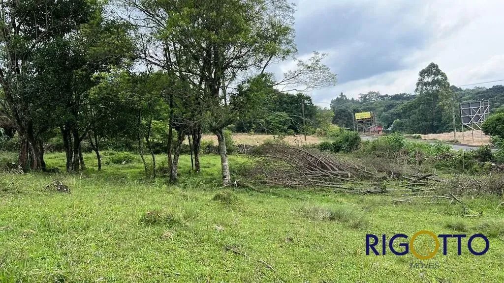 Área Bairro Área Rural
