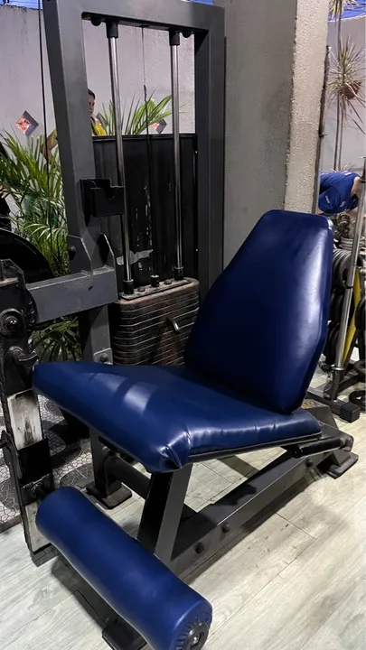 Aparelho de musculação Cadeira Extensora (com 80kg de placas)
