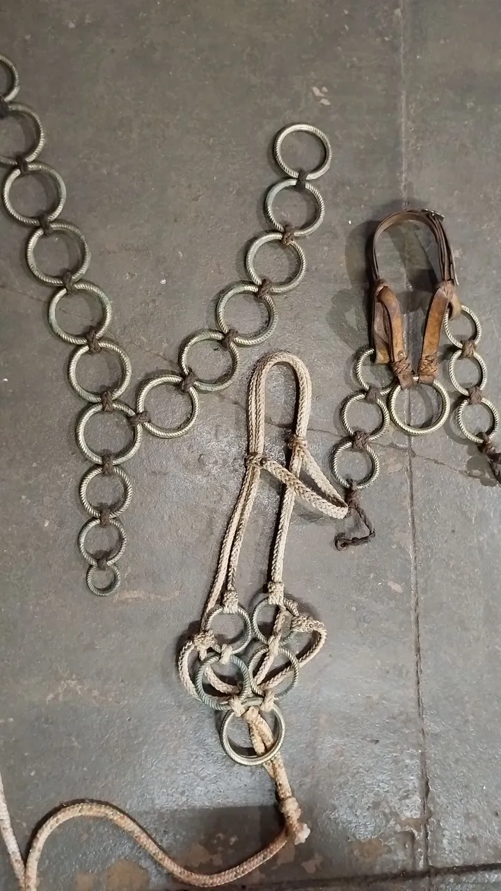 Acessórios para Cavalos - Conjunto Completo
