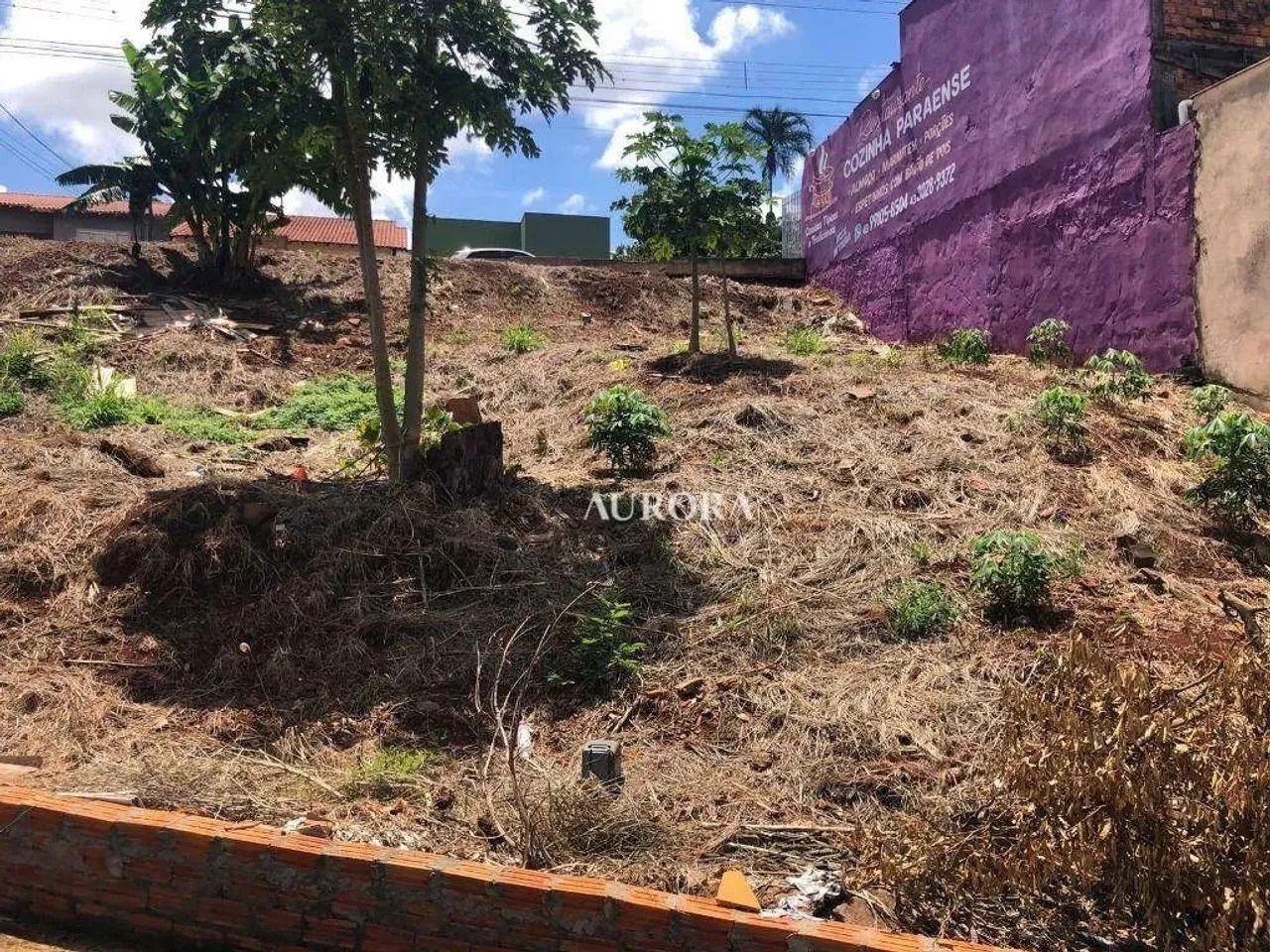 Terreno à venda, 450 m² por R$ 240.000,00 - Coroados - Londrina/PR - Foto 8