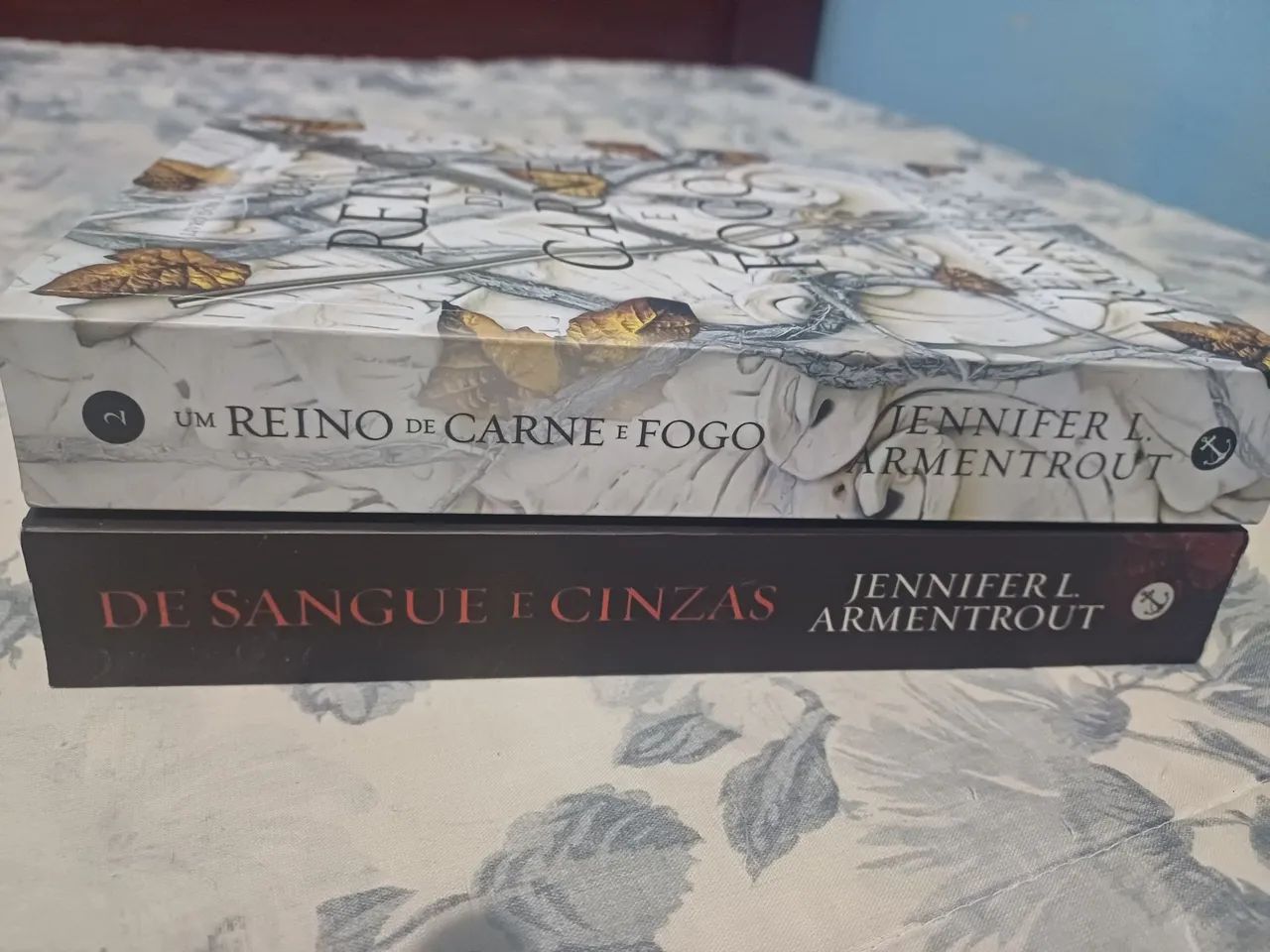 De Sangue e Cinzas v1 e 2 - Jennifer L. Armentrout - Livros