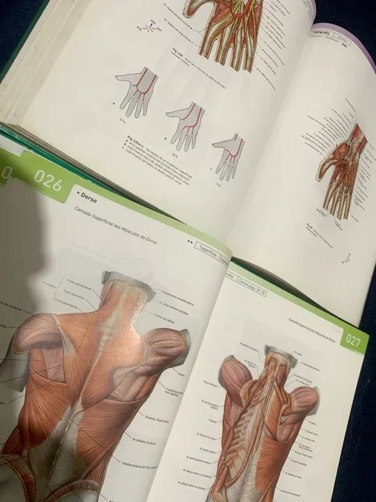 Sobotta Atlas de Anatomia Humana - 2 volumes - Foto 2