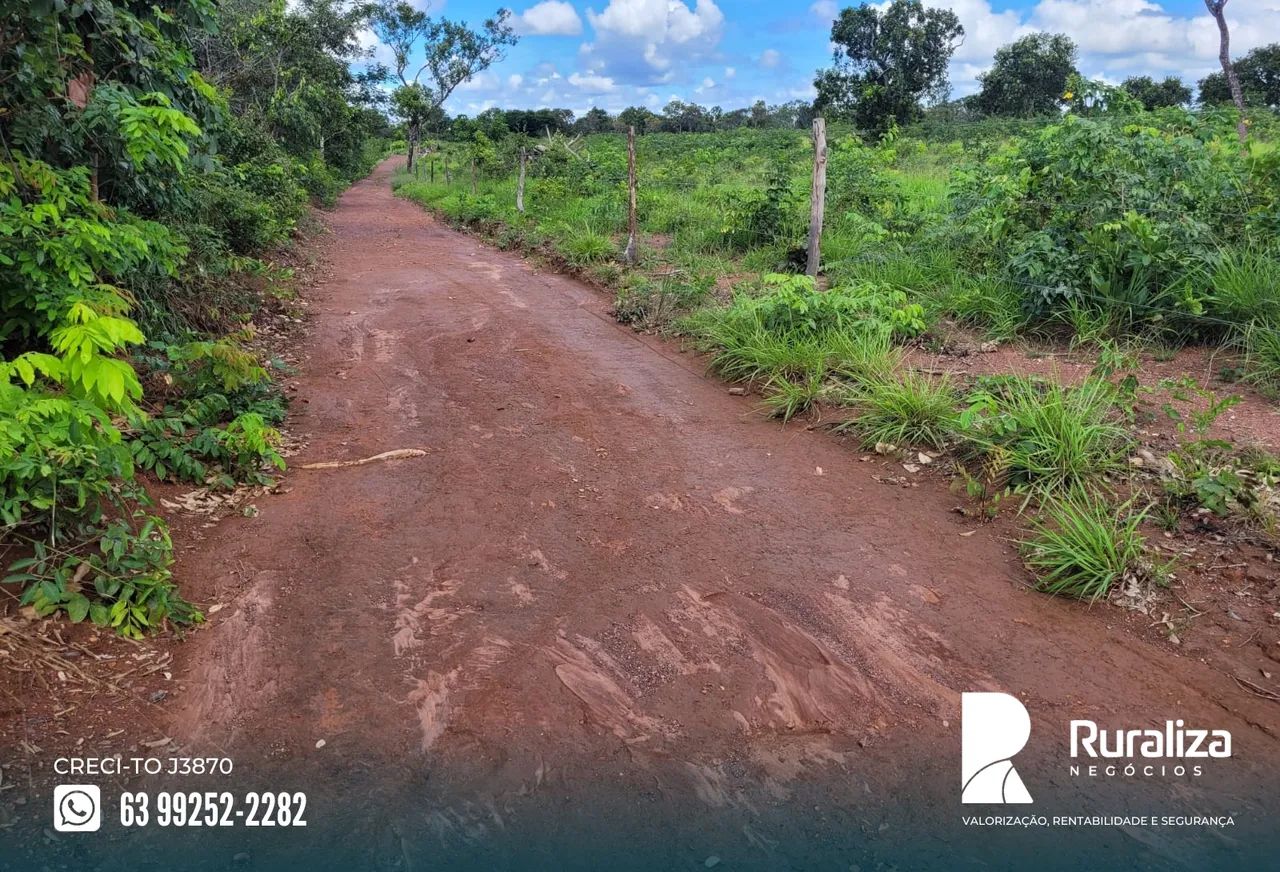 Aparecida do Rio Negro - TO com 60% de aproveitamento para lavoura, à 8 km do asfalto - Foto 3