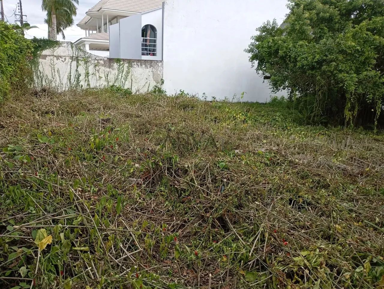 Terreno à venda no bairro Piçarras ARYA1 - Foto 6