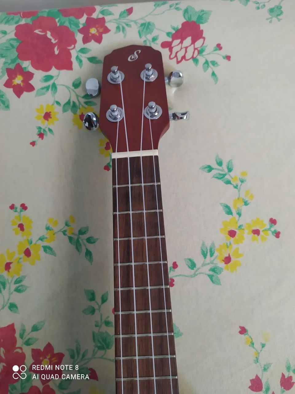 Ukulele - Foto 5