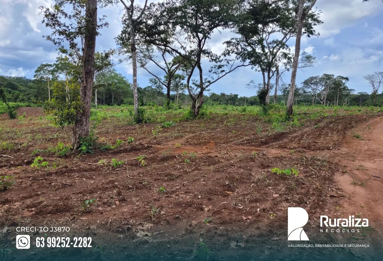 Aparecida do Rio Negro - TO com 60% de aproveitamento para lavoura, à 8 km do asfalto - Foto 2