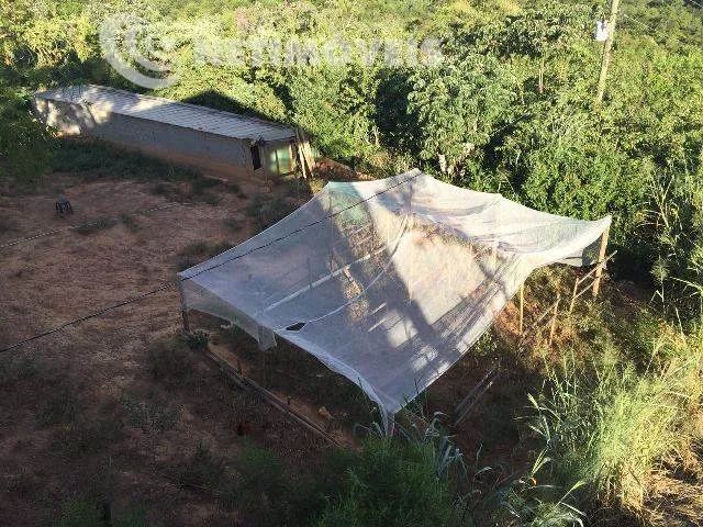 Venda Chácara Condomínio Village Juatuba Juatuba - Foto 2