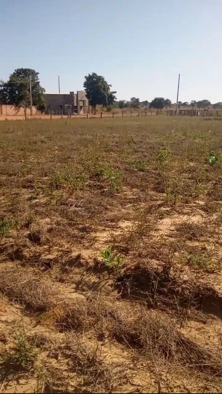 Quadra de terra com 12 lotes - Foto 5